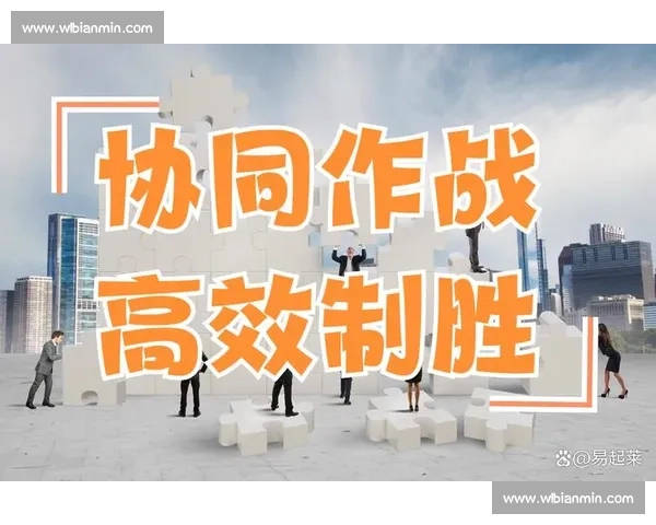 以团队建设为核心推动协同成长与组织高效发展的新实践探索